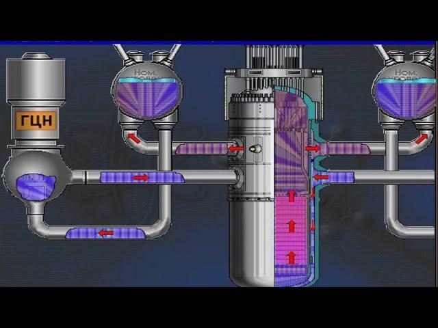 5.1 Циркуляция 1 контура(ВВЭР)