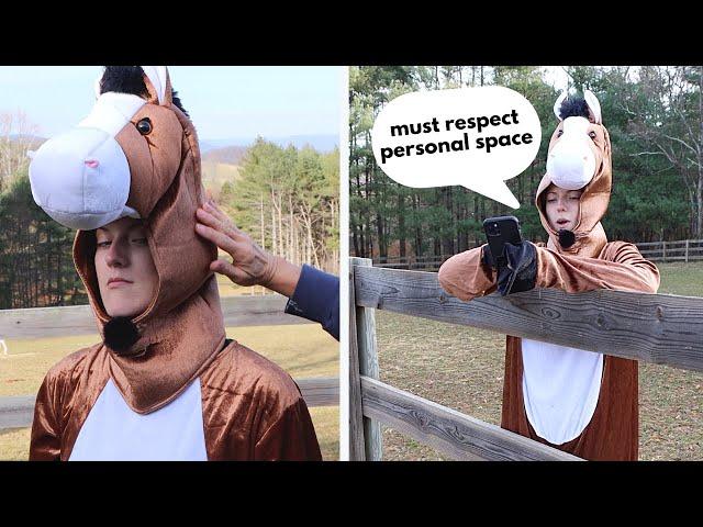 If Horses Chose Their Humans (Equestrian Comedy )