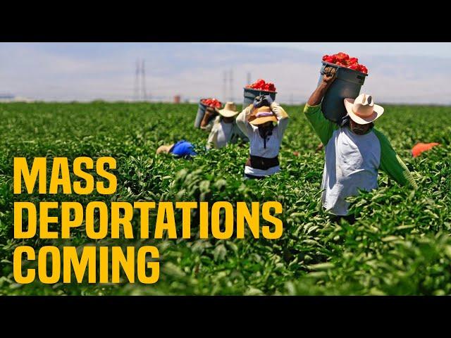 Trump will start mass deportations on DAY ONE