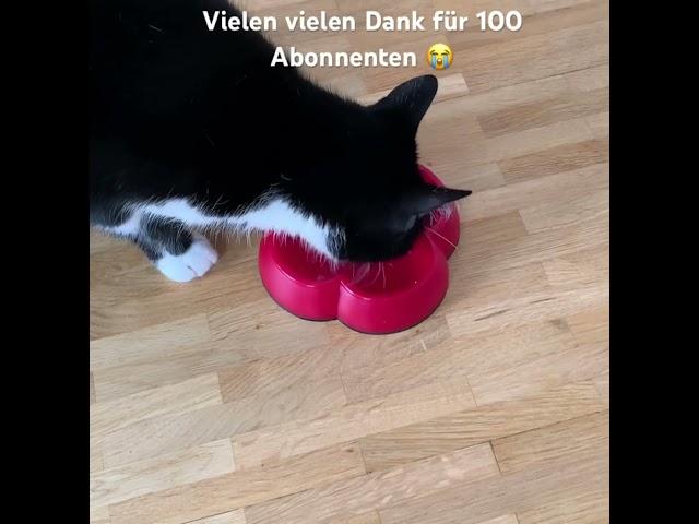 Vielen vielen Dank 🫶