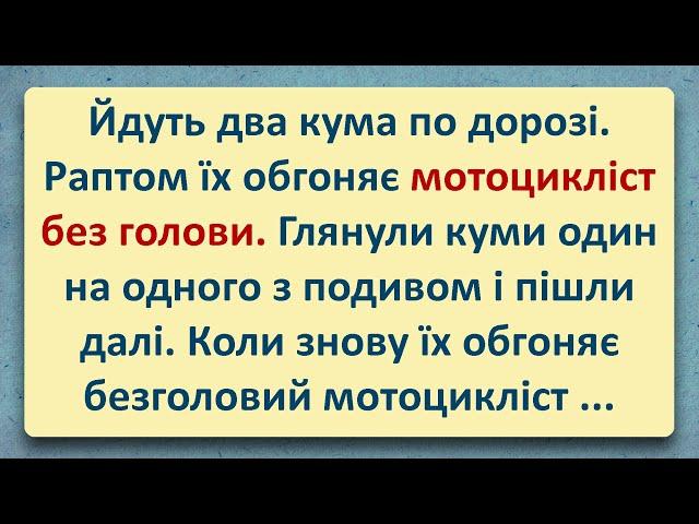  Вершник без Голови! Добірка Анекдотів Українською! Епізод #47