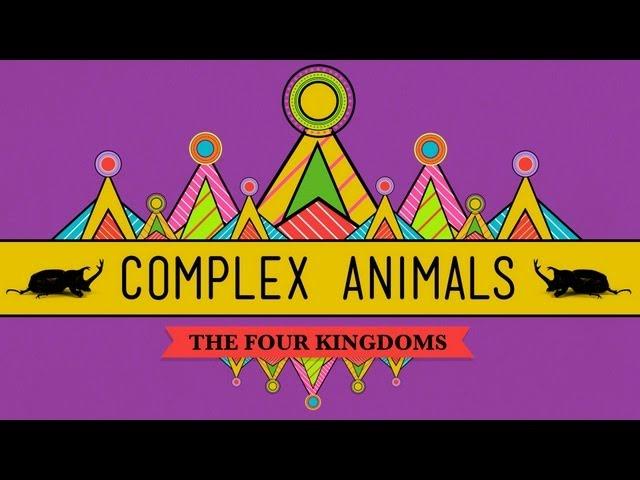 Complex Animals: Annelids & Arthropods - CrashCourse Biology #23