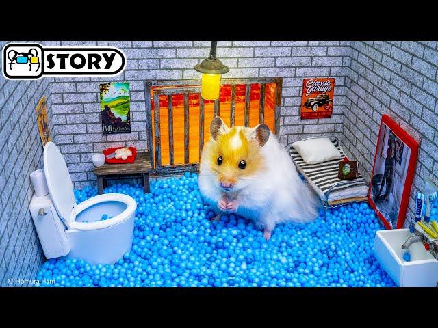  Hamster Escapes the Super Maze for Pets in real life  Homura Ham Pets