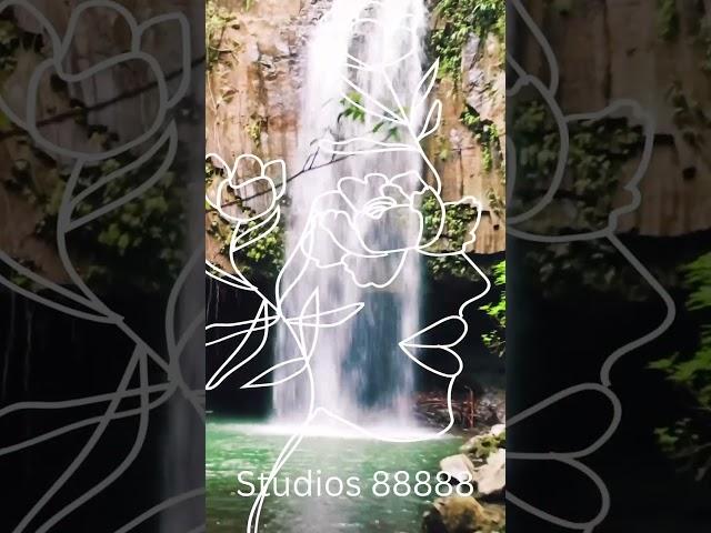  Cleanse Your Mind #healingsounds #healingmeditation #solfeggio #meditation #88888 #5d #abundance