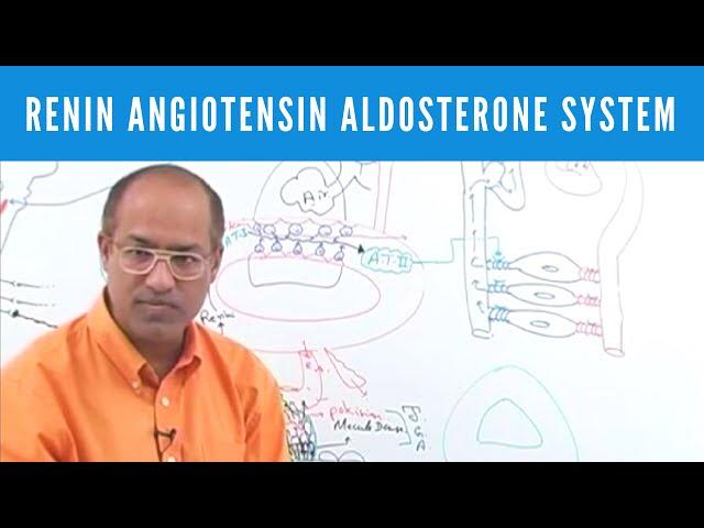 Renin Angiotensin Aldosterone System | RAAS‍️