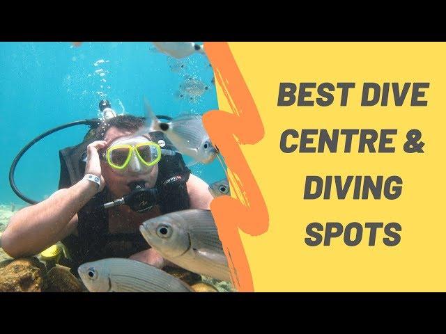 Scuba Diving Tours Antalya Belek Side Kemer Alanya Manavgat Prices  Dive Excursions Holiday Deals !