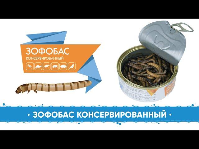 AQUAMENU Зофобас консервированный. Универсальное лакомство для насекомоядных животных.