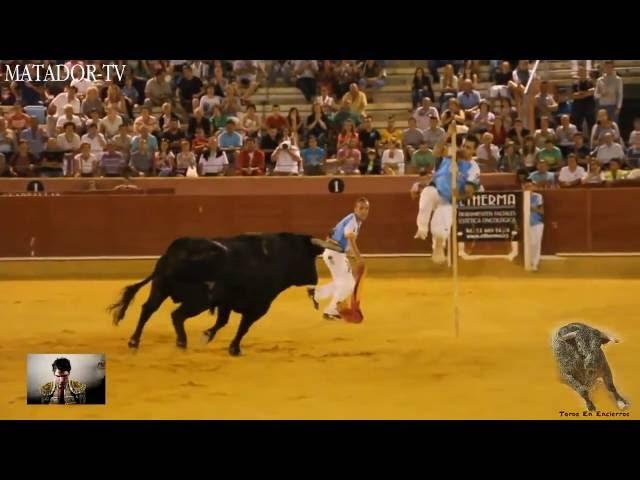 Deadly Bulls, Смертельные Быки, Los toros mortales