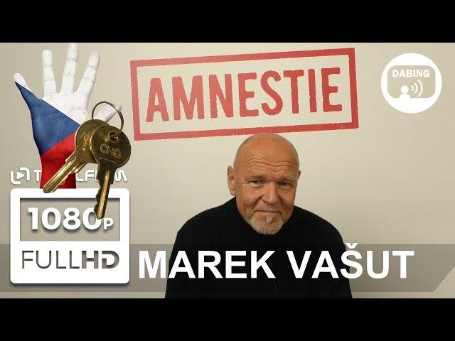 Amnestie (2019) Marek Vašut o 17. listopadu