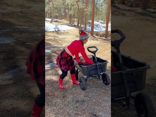 Ya win some. Ya lose some. ‍️ #oops #outdoors #choppingwood #woodchopping #outdoors #satisfying