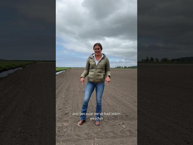May Field Update