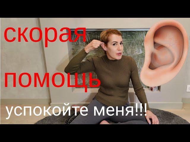 Большие уши - повезло!