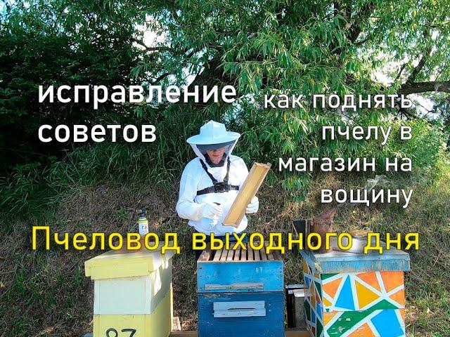 Как поднять пчелу в магазин на вощину. Исправление советов. Пчеловод Выходного Дня.