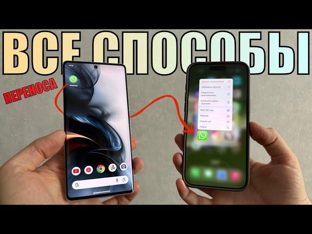 Перешел с Андроида на Айфон? Как перенести WhatsApp с Android на iPhone 16? Все о переносе WhatsApp