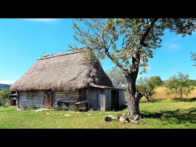 Grandpa's old house was remodeled, grandpa was crying#renovate #building #home