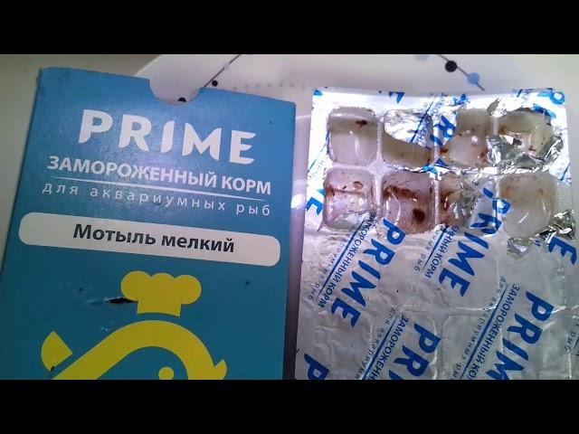 КОРМЛЕНИЕ РЫБОК МОТЫЛЕМ PRIME