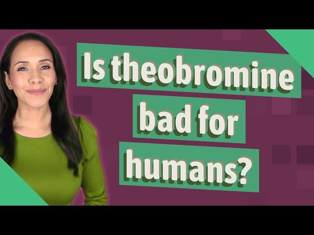 Is theobromine bad for humans?