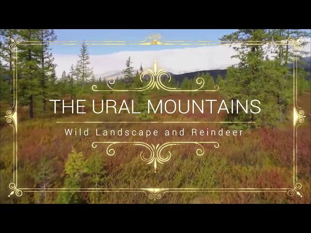 The Ural Mountains: Wild Landscape and Reindeer