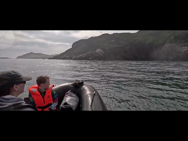 RIB Adventures EP3 4k Lambay Island wildlife, Family RIB trip in a Nividic 550 with 100HP Suzuki