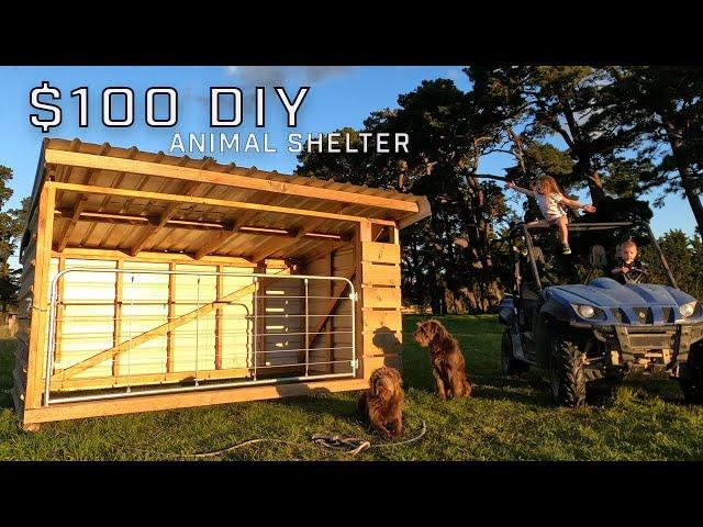 $100 DIY Animal Shelter