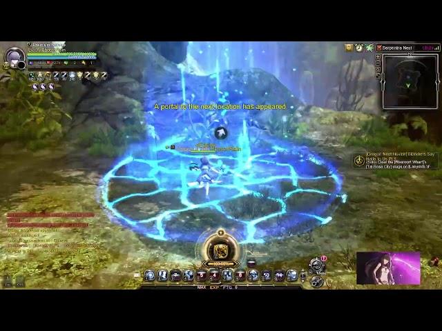 DNSEA Weekly Nest Majesty Gameplay