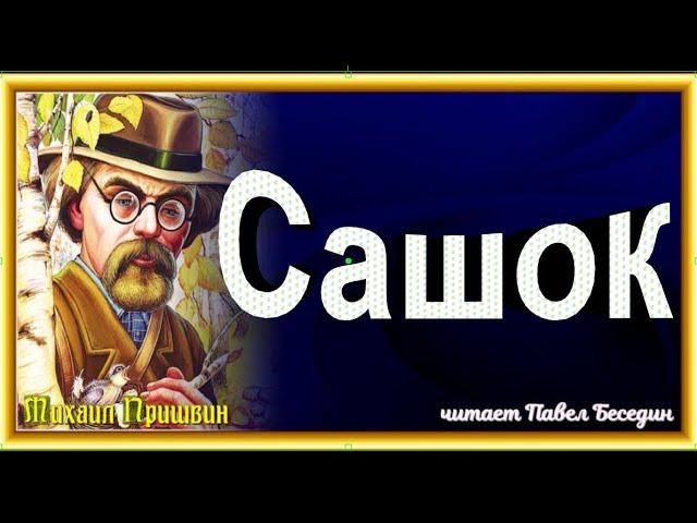 Сашок ,Михаил Пришвин ,  Рассказы о природе , читает Павел Беседин