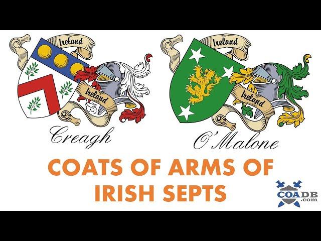 Irish Family Crest (Not Anglo-Irish)