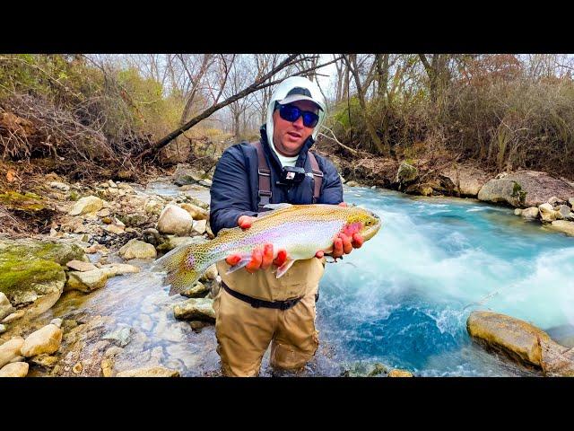 Fly Fishing for BIG RAINBOW TROUT in Georgia