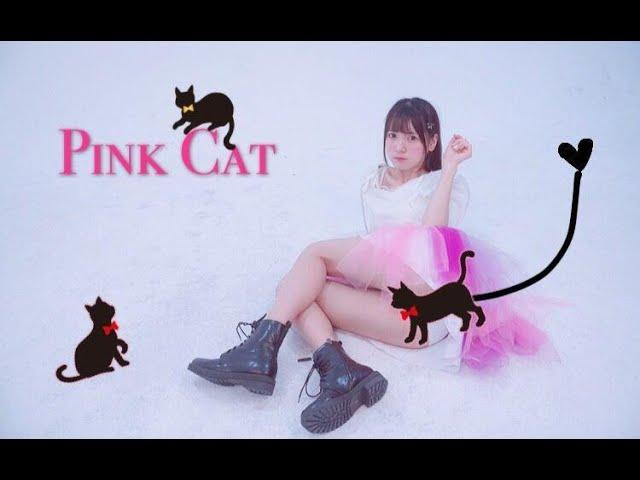 【Kyokyo】PINK CAT换装PLAY!高跟性感喵和蓬蓬可爱喵你想要哪一个呀