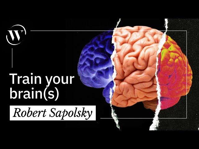 You have 3 brains. This is how to use them | Robert Sapolsky