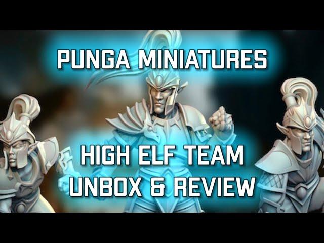 High Elf Team Kickstarter Unbox & Review  | Punga Miniatures (Bonehead Podcast)