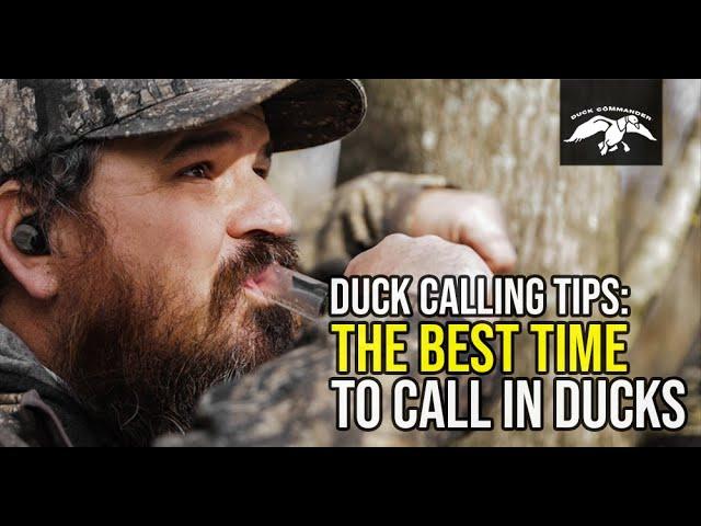 The Best Time to Call In Ducks | Duck Calling Tips