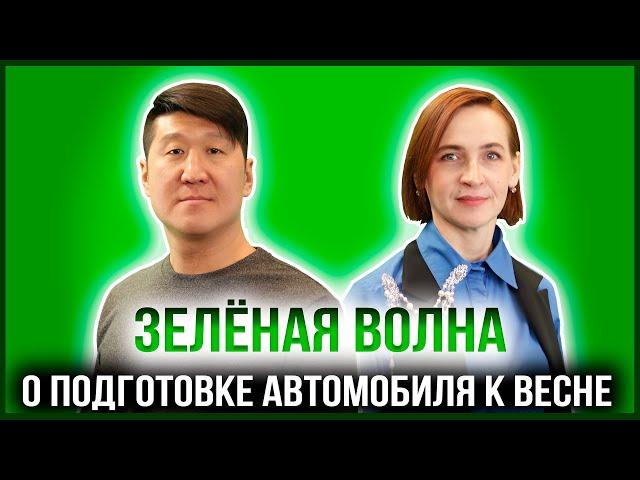 ЗЕЛЁНАЯ ВОЛНА | АЛЕКСАНДР ЛЯН — МАСТЕР СТО