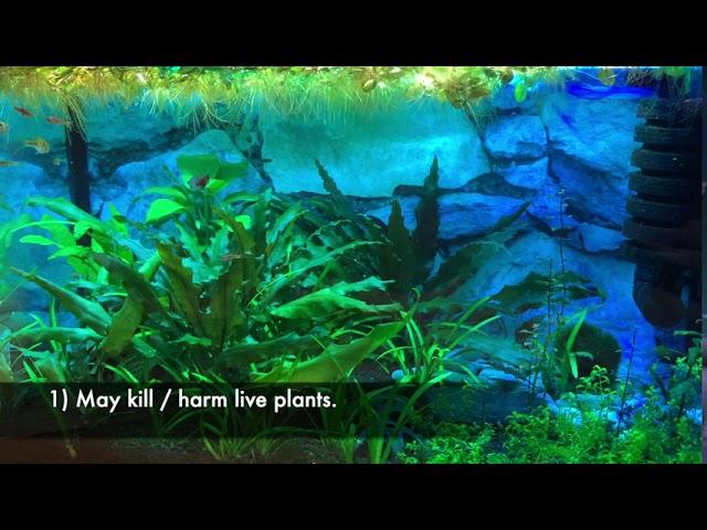 Methylene blue planted tank (pros and cons)