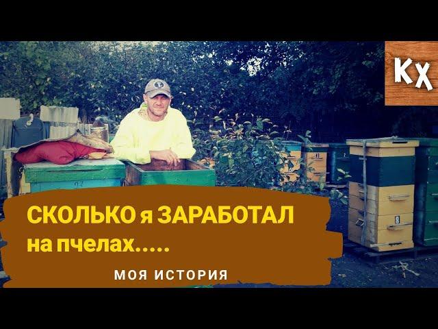 Содержание пасеки - отличный БИЗНЕС для деревни. Сколько я заработал на пчелах..???