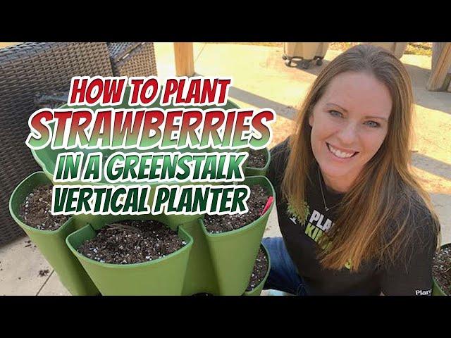 Planting Strawberries in a Greenstalk Vertical Planter (Beginner's Guide)