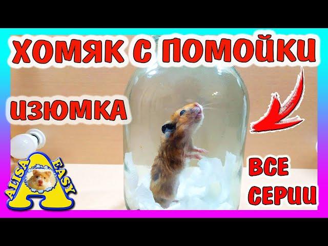 ВЫБРОСИЛИ ХОМЯКА НА ПОМОЙКУ / ИЗЮМКА ВСЕ СЕРИИ / вся история хомки /Alisa Easy Pets