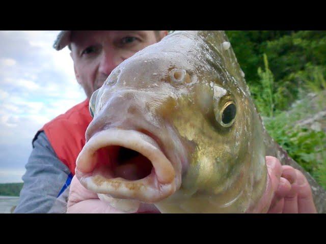 Feeder in an Arc! I get the Monster Bream from the Depth. Bites Close Up