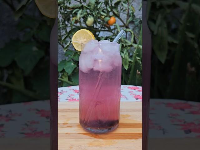 Black Currant Lemonade #lemonade #blackcurrant #summerdrink #drinksforsummer #shortvideo