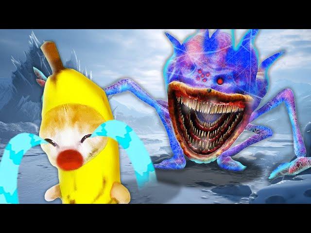 THE SONIC TAPES: Banana Cat vs. The Cursed Sonic Monster: A Frozen Fright!  Banana Cat Compilation