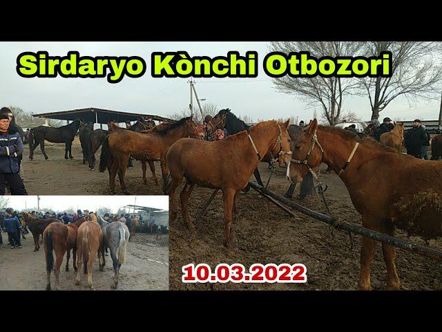 Sirdaryo Kònchi Otbozori 10.03.2022