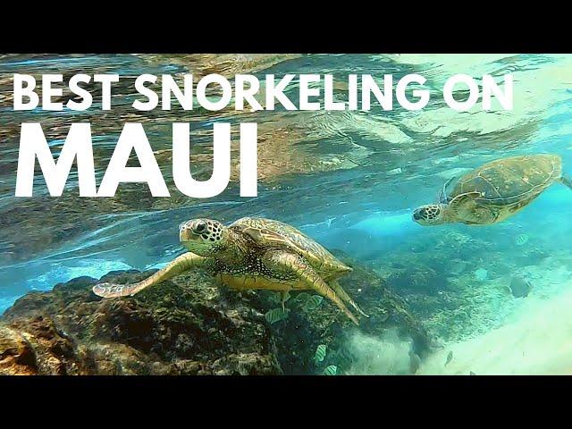 Black Rock Maui Snorkeling Tips | Kaanapali Beach for a Day of Great Snorkeling (turtles included)