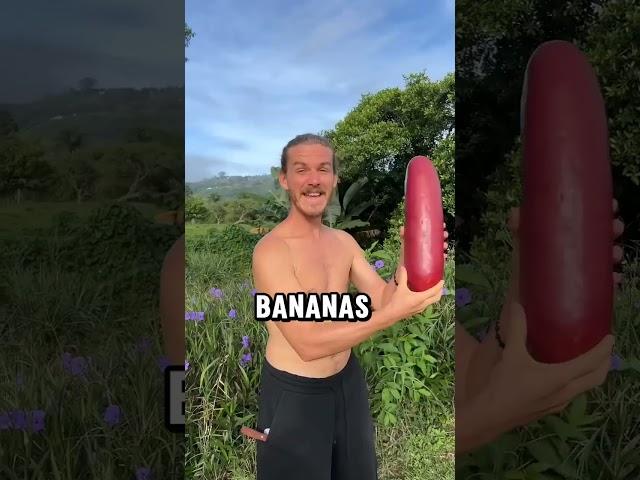 Eat Fruits Daily – Here's What Happens!