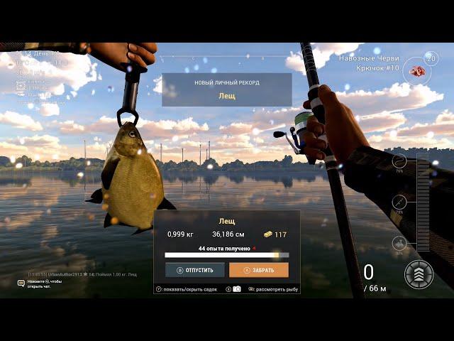 Игры, рыбалка в Fishing Planet, канал Гент-Тернёзен (ловля леща)