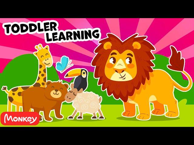 Dance Along with Monkey Junior  Hakuna Matata Animals  Monkey Junior Play & Learn