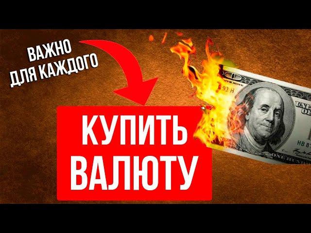 Зачем покупать валюту 2024? Прогноз курса доллар рубль