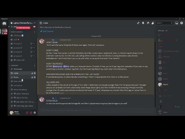 Nuking the "LGBTQ+/therian/furry community" Discord Server...