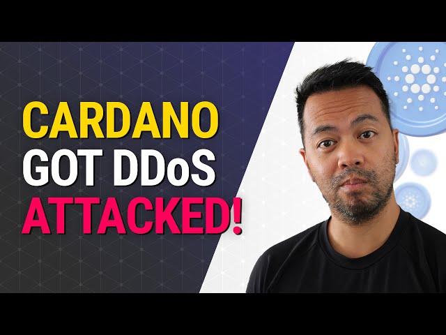 Cardano DDoS Attack - How the Community Stop the Cardano Spam Attack