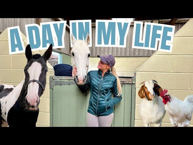 A Day In My Life On The Farm