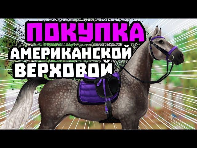 ПОКУПКА АМЕРИКАНСКИХ ВЕРХОВЫХ | ЛАГЕРЬ ВЕСТЕРН | Star Stable